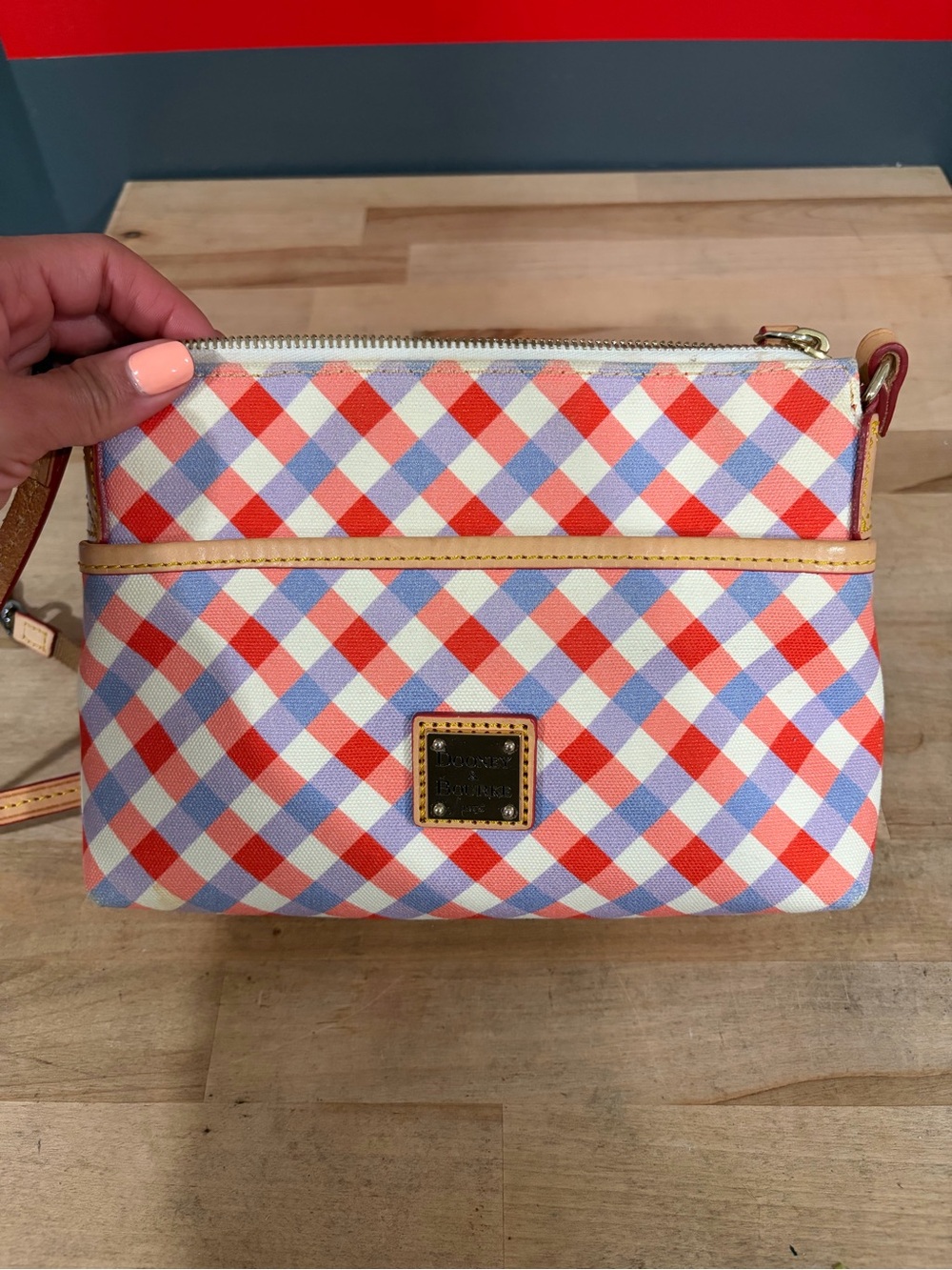 Dooney & Bourke Red and Lavender Gingham Crossbody Pouch